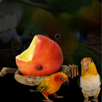 Кутия За хранене на птици Parrot Устройство за защита от пръски и спрей Автоматична ясла за папагали Устройство за защита от пръски птици