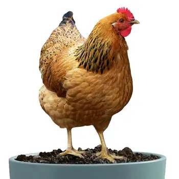 Декор за пилета Статуетка Пиле, 2D Акрилни декор, всички сезони Украшение от кокоша трева, Фигурки За украса на градината във вътрешния двор
