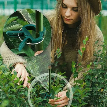 Анкерни скоби за растенията за подпомагане на крепежни скоби за растения, цветя и лозови стебла, Лозя растат вертикално, изкачването на градински домат