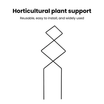 Лесна инсталация, Решетка за катерене по растенията, различни форми на Украса, Практични поставки за отглеждане на растения Amaryllis