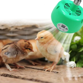 Регулируеми Температурни Нагревателни лампи за отглеждане на селскостопански животни, Топла Светлина Автоматичен Регулатор на Температурата Нагревател За домашни Пилета